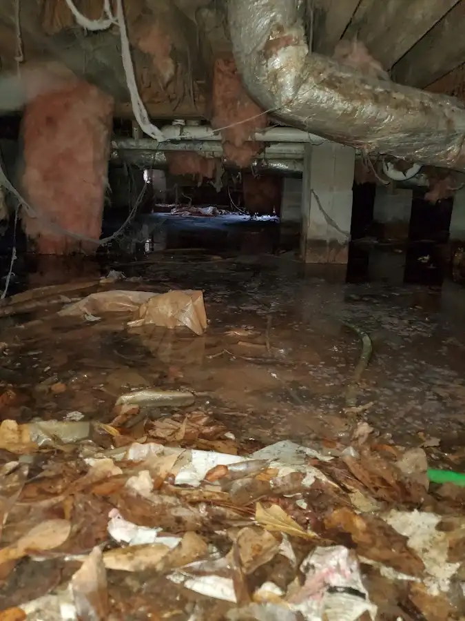 Crawl space flood assessment for Leak Detection & Repair in Hillsdale