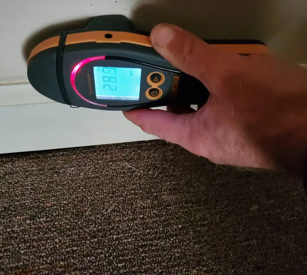 Moisture detection at baseboard during Sewage Cleanup & Sanitation in Hillsdale